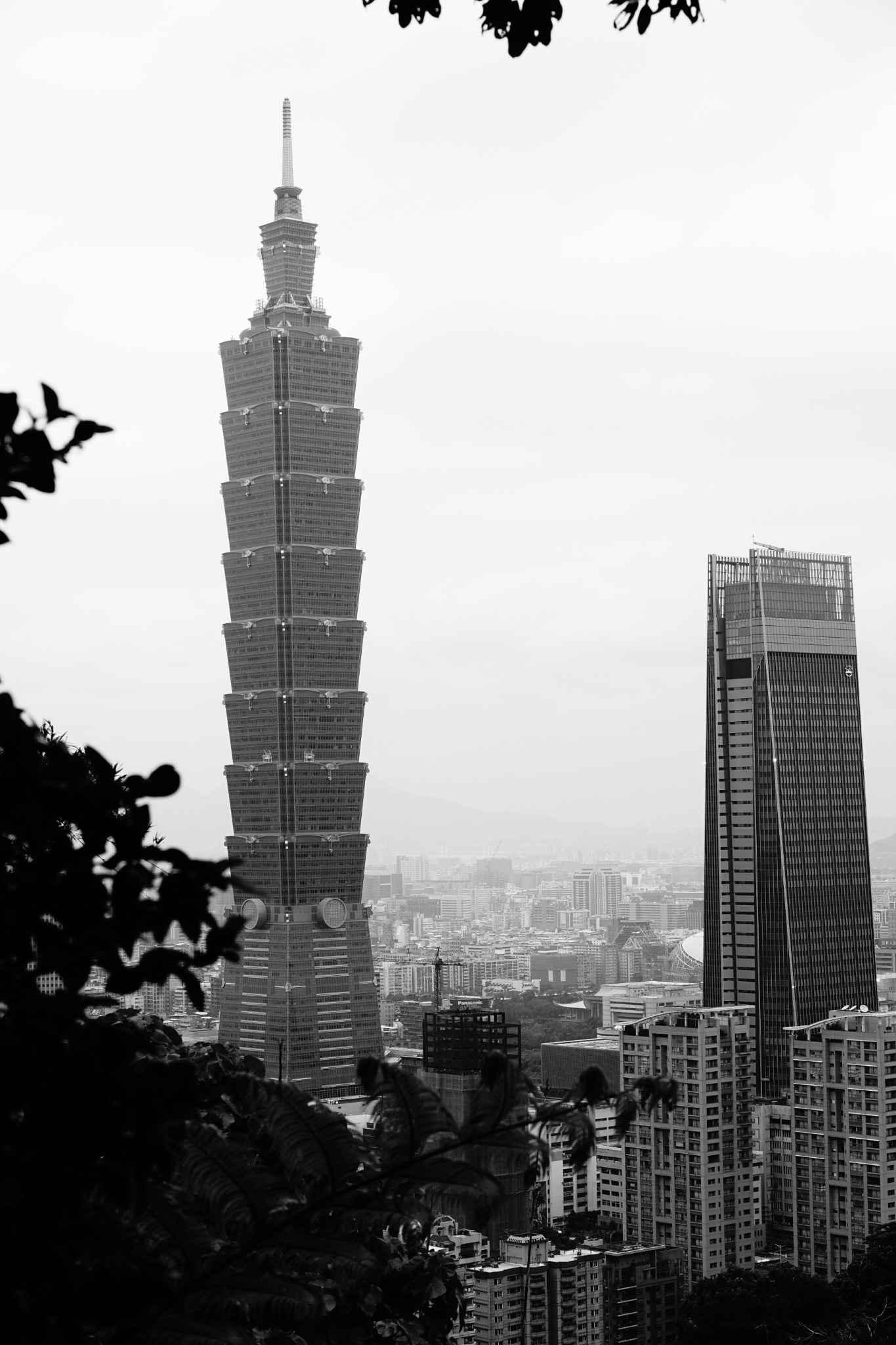 Black-and-white city view of Taipei 101 and surrounding high-rise architecture framed by foliage.