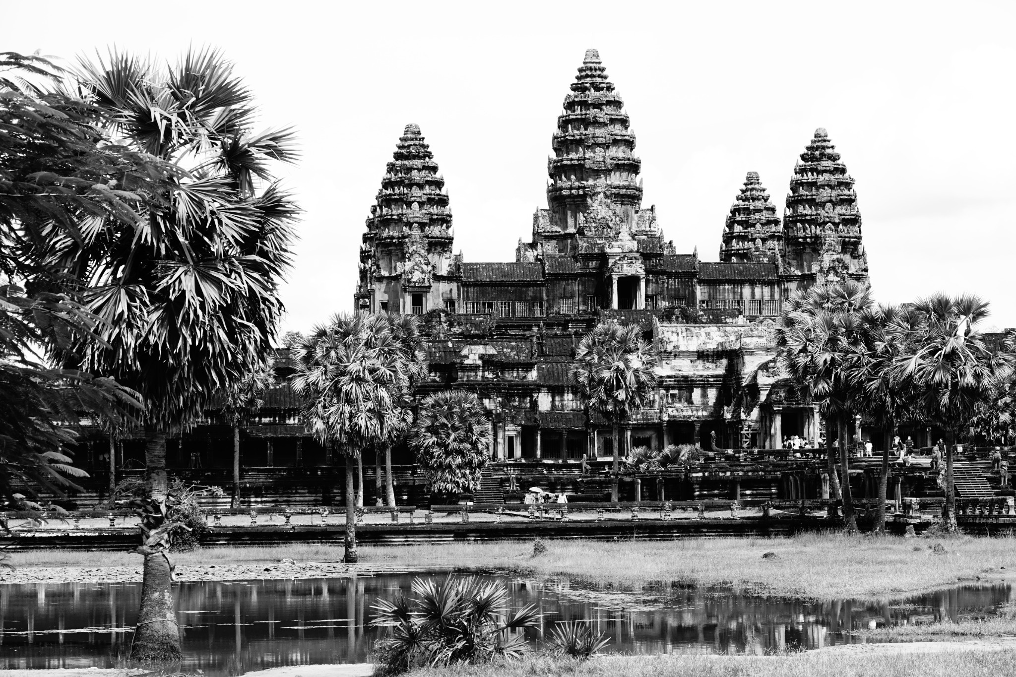 Black-and-white view of Angkor Wat in Cambodia framed by palm trees and reflected in water.